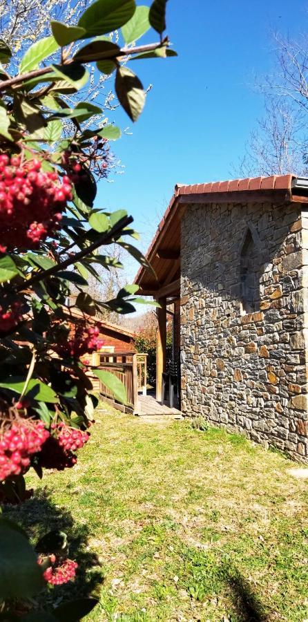 Le Hameau Du Comte De Foix Aparthotel Mercus-Garrabet Exterior photo